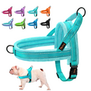 Harnais Confortable pour Chiens